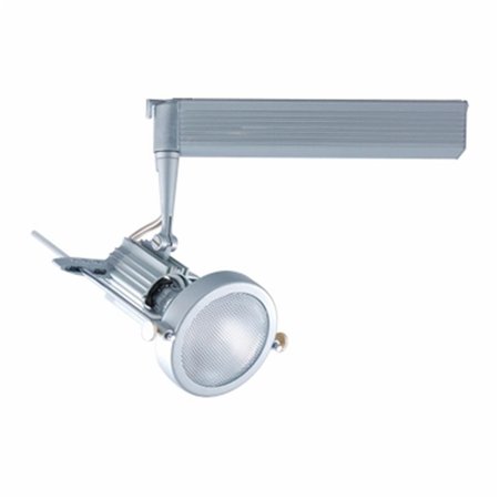 GORGEOUSGLOW 120V Contempo Series Metal Halide Track Light 20W, PAR20 - Metal GO2419573